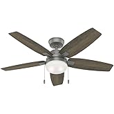 Hunter Fan 52 Inch Matte Silver Finish Indoor Ceiling Fan, Premium Glass Shading with LED Light and Pull Chains for Bedroom, 