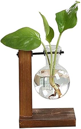 Amazon Com Crystal Vase 1pc Vintage Glass Desktop Plant Bonsai