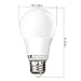LE 12 Pack A19 LED Bulbs, 60W Incandescent Bulb Equivalent, 10W E26 Bulb , 2700K Warm White, Non-Dimmable, 810lm, 240° Flood Beam, Medium Screw, LED Light Bulbs for Home
