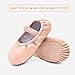 STELLE Premium Authentic Leather Ballet Slipper/Ballet Shoes (Toddler/Little Kid) (10MT, Ballet Pink)