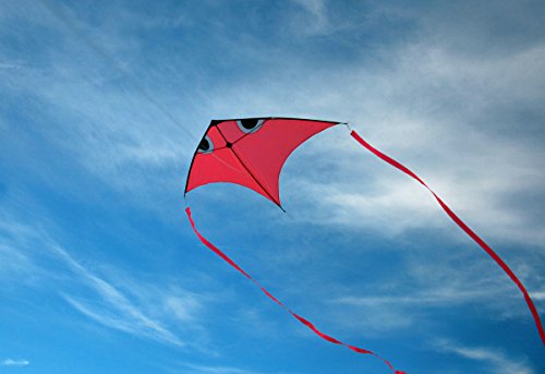 Fish swim in sky delta kite with flying line and handle…