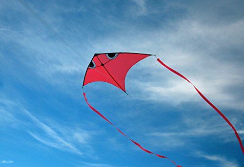 Fish Swim In Sky Delta Kite with Flying Line and Handle (Orange)