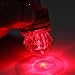 Lures light - TOOGOO(R)Depth LED light Underwater Squid Fishing Lures Bait Deep Drop Diamond Lights Main Color: Red