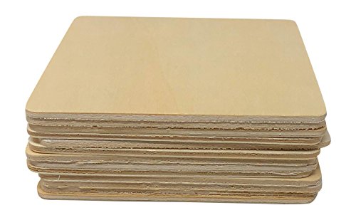 12 Piece Birch Wood Craft Unfinished Blank Coasters 4 x 4 for Craft Projects with Instruction Sheet - Thumbnail 3