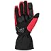 ILM Alloy Steel Motorcycle Riding Gloves Warm Waterproof Windproof for Winter Use (L, RED(Winter))