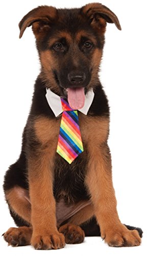 Rubies Costume Company Rainbow Tie for Pet