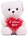 Ritmika Stuffed Teddy Bear Plush LED Toy with I Love You Heart Pillow, White 12
