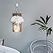 Anpro Rustic Wall Sconces,Mason Jar Lights, Rustic Home Decor with Wrought Iron Hooks, Silk Hydrangea and LED Strip Lights Design for Home Decoration(Set of 2)