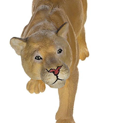 Wildlife Wonders: Puma concolor