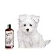 Sofee & Co. Natural Oatmeal Dog Puppy Shampoo - Clean Moisturize Soothe Soften Norma, Dry Itchy Allergy Sensitive Skin. Deodorize and Detangle 16 oz (Lavender & Mint)