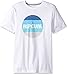 Rip Curl Men's Style Master Classic Tee, White, XL