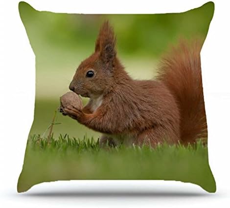 Throw Pillowcase 18 X 18 Inches 100% Cotton Pillowcases Decorative Cushion Covers with Hidden Zipper Decor - Animals Squirrel Rodent Nut Grass Little Animals For Sofa
