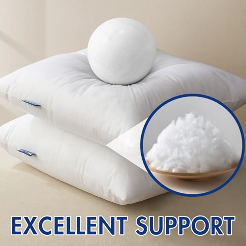MIULEE Pillow Insert 12x20 Inch, Decorative Rectangle Throw Pillow Insert, Premium Fluffy Pillow Forms Stuffer for Sofa Couch Living Room