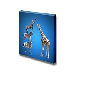 Three Zebras Standing Together to Be Taller Than a Giraffe Teamwork Unity Concept Image Art - Canvas Art Wall Art - 12" x 12"