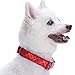 Blueberry Pet 7 Patterns Soft & Comfy Scottish Aileen Red Plaid Tartan Style Designer Padded Adjustable Dog Collar, Small, Neck 12