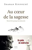 Au coeur de la sagesse : Manuel de la pratique du mahamudra by 