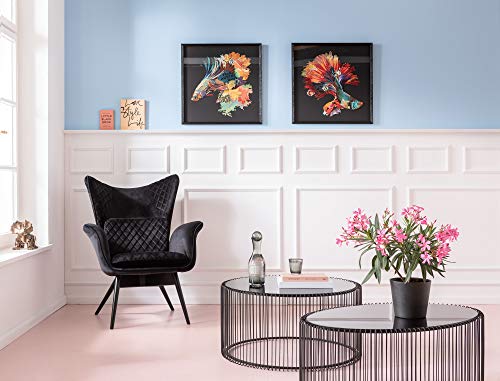 Kare-Design-Bild-Frame-Art-Betta-Fish-Colore-Right-Quadratisches-Bild-mit-Bilderrahmen-in-der-Farbe-Schwarz-Fisch-Motiv-in-bunten-Farben-65x65cm-HBT-65x65x3cm