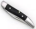 Wild Turkey Handmade Frost Wood Tooth-PickFolding Knife 3.5' Closed Everyday Carry Collectors Item Survival (BF)
