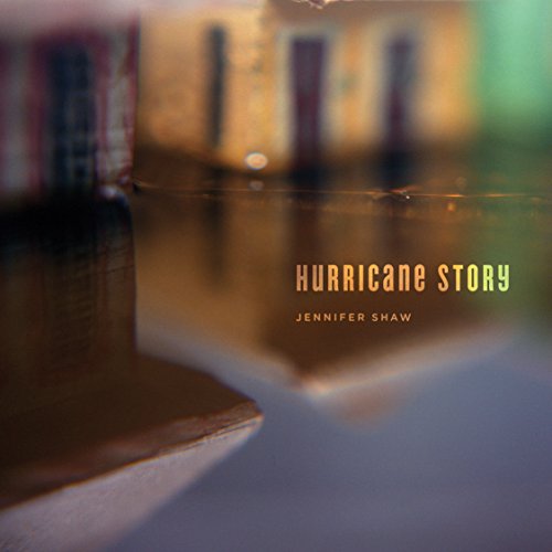 Hurricane Story by Broken Levee Books