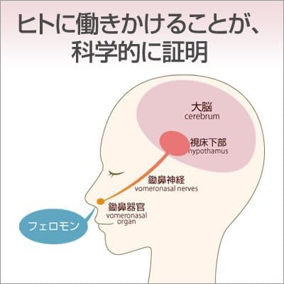 Amazon ラブアトラクション イランイラン 男性用フェロモン香水 10ml Love Attraction ラブ アトラクション オーデコロン Edc 通販