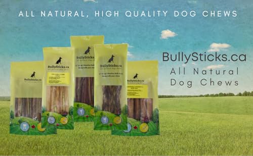 ODOURFREE 6" Thin Bully Sticks for Dogs (20 Pack) Dental Chew - Rawhide Free - Single Ingredient All Natural Beef Chew - Consistent Size - for Small Dogs/Puppies - Canadian Company