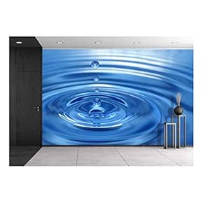 The Round Transparent Drop of Water, Falls Downwards - Removable Wall Mural | Self-Adhesive Large Wallpaper - 66x96 inches