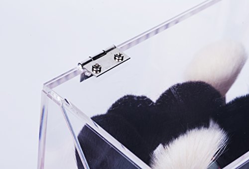 image for Newslly Clear Acrylic Makeup Organizer with 3 Brush Holder Compartment