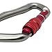Fusion Wave Screw Gate Carabiner