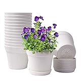 HOMENOTE Pots for Plants, 15 Pack 6 inch Plastic