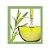 Scalp Anti Bacterial Formula | Best Way to Help Improve Your Scalp | Non Medicated Made With Scalp Loving Ingredients