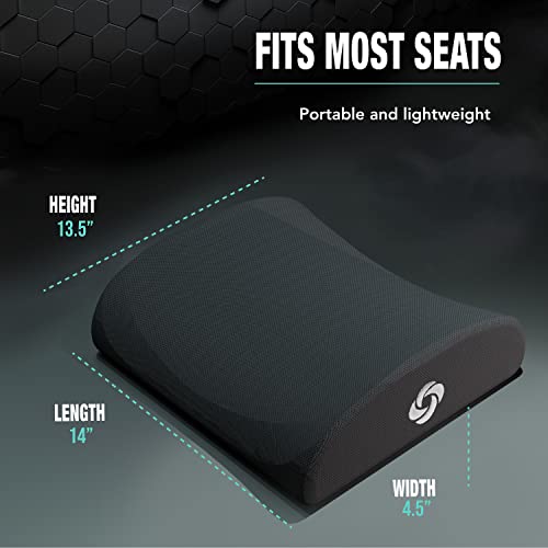 SAMSONITE, Ergonomic Lumbar Support Pillow for Chair - Elevates Lower Back Comfort Zone - 100% 