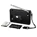 VR-robot Portable Shortwave Transistor Radio, AM/FM Stereo with MP3 Player, Recorder T-Flash Card, Sleep Timer (Black)