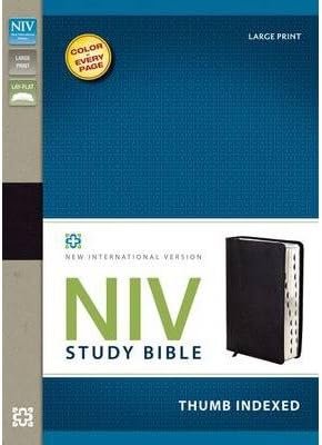 By Zondervan Bibles ( Author ) [ Study Bible-NIV-Large Print By Nov-2011 Bonded Leather Leather Bound