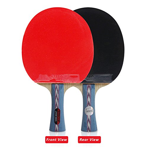 DHS Table Tennis Racket Ping Pong Paddle Hurricane No.2 (Long-handle) Double Pimples-in Bats Shake-hands Grip