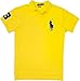 Polo Ralph Lauren Men's Custom-Fit Big Pony Polo