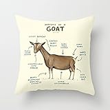 Home Style diylancas Throw Pillow Cover Cushion Case Anatomy of a Goat - 18 x 18 Inches Square Design