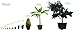 Viagrow VHPP500-10 VHPP Nursery Pots, 5 Gallon, Black