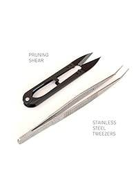 Juego de herramientas de plátanos de lujo para elegir Bonsai. Incluye: pastel de madera, almohadillas largas y anchas, tijeras, pinzas, brochas de bambú y tijeras de podar (cortador cortador) en soporte de almacenamiento de tela.