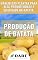 Livro Produção de Batata: Manejo das plantas para alta produtividade da batata