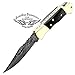 Buffalo Horn 5.5'' Custom Handmade Damascus Steel Double Brass Bloster with Sharpening Rod Folding Pocket Knife Back Lock 100% Prime Quality Come with Leather Sheath