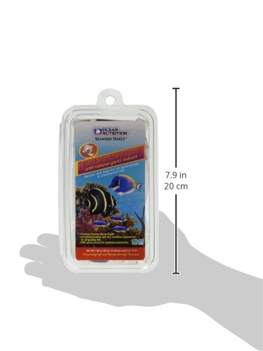 Ocean Nutrition Food Morning Algae, 20g, Red