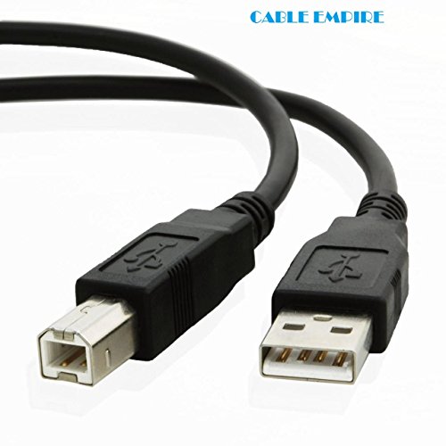 Cable Empire® 10 ft Hi-Speed USB 2.0 Printer Scanner Cable Type A Male to Type B Male For HP, Canon, Lexmark, Epson, Dell