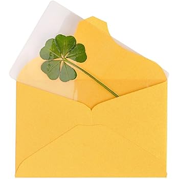 Genuine 5-Leaf Clover Bookmark - Real Pressed Green Clover Lucky Charm For Wallet & Phone Case