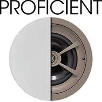 proficient speakers ceiling