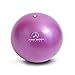 ProBody Pilates Small Exercise Ball - 9 Inch Workout Ball for Stability, Barre, Yoga, Core & Physical Therapy, Home Gym & Office Use (Purple)