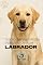 Livro Tudo O Que Você Precisa Saber Para Criar Um Labrador: História, Saúde, Criação e Muito Mais (Conheça A Raça do Seu Cão)