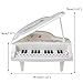Toy Piano Electronic Piano Keyboard, Fajiabao 14 Keys Music Toy Keyboard Toy Set with Beautiful Light Gift for Children Kids Girls Boys Early Learning