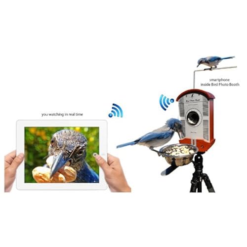 Patio, Lawn & Garden, Outdoor Décor, Backyard Birding & Wildlife, Birds, Feeder Accessories