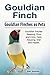 Gouldian finch. Gouldian Finches as Pets. Gouldian finches Keeping, Pros and Cons, Care, Housing, Diet and Health. by 
