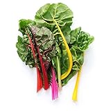 Rainbow Swiss Chard Seeds, 300+ Premium Heirloom Seeds, Beta Cicla, (Isla's Garden Seeds), Non GMO Organic, 85-90% Germination Rates, Highest Quality Seed